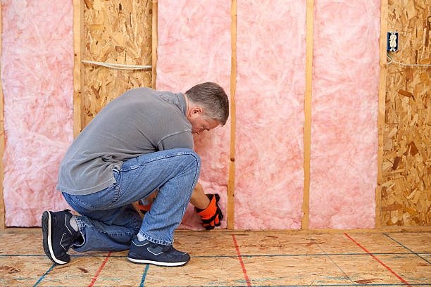 Best Energy Efficiency Insulation in Taos, MO